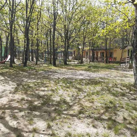 дъбрава * Shkorpilovtsi