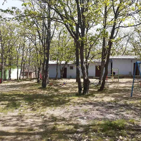 дъбрава Kamp alanı *