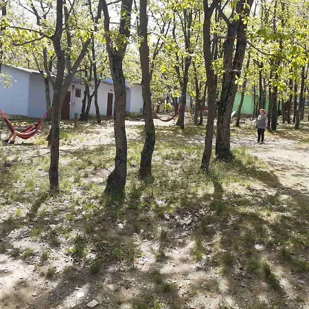 дъбрава Campsite *