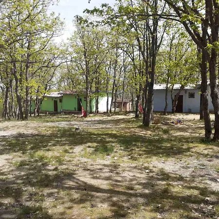 дъбрава