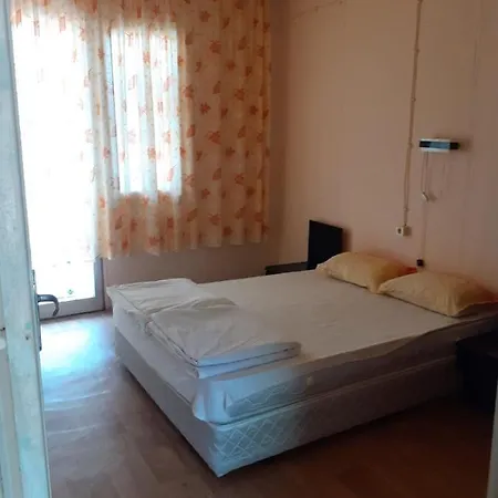 дъбрава * Shkorpilovtsi